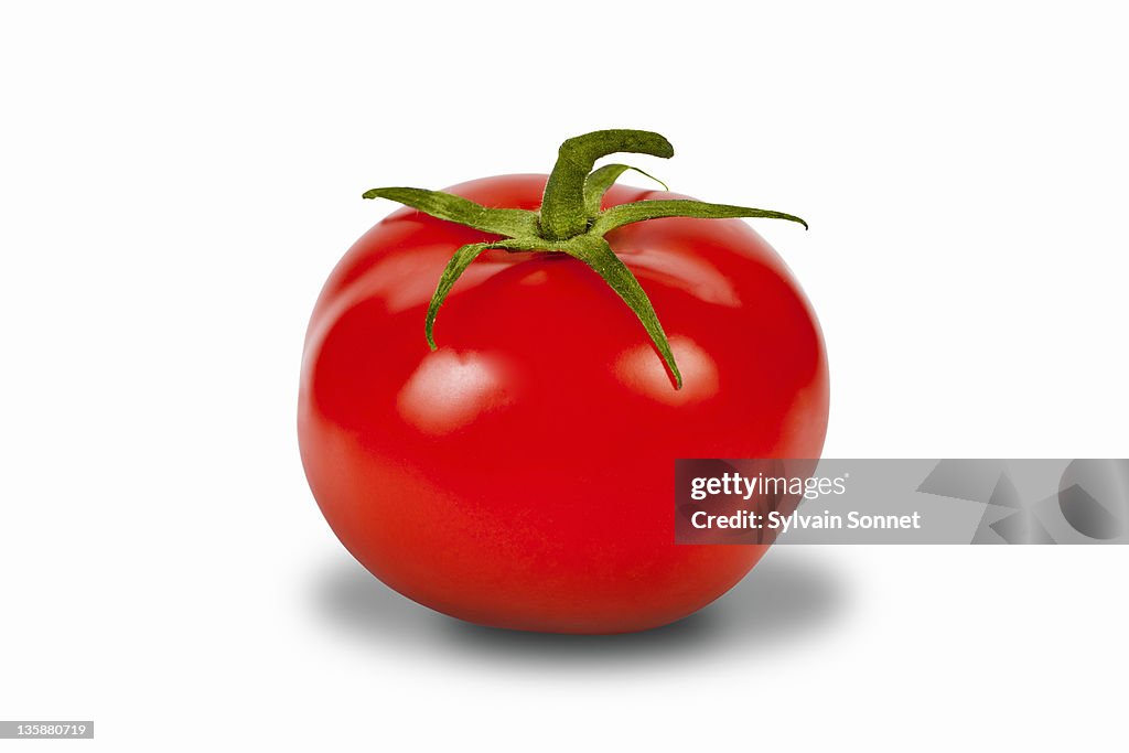 Tomato