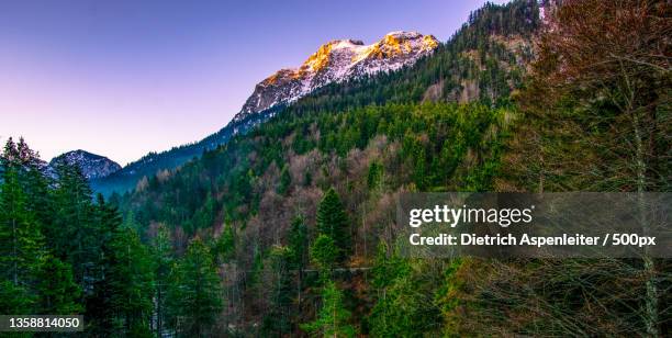 panoramic view of beautiful mountain landscape in the bavarian alps - bio dietrich stock pictures, royalty-free photos & images