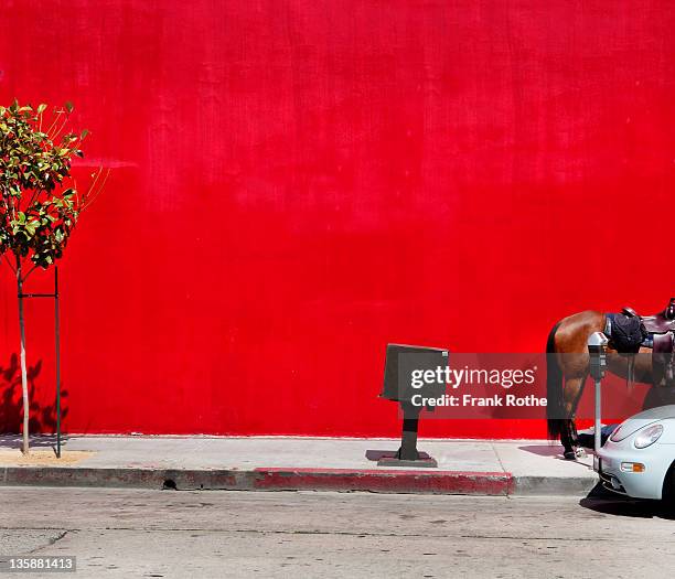 a horse on the sidewalk beside a parked car - los angeles equestrian stock pictures, royalty-free photos & images