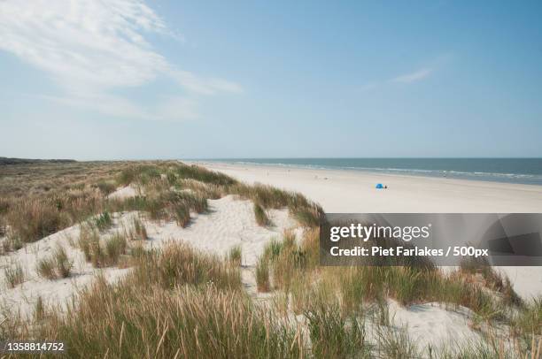 schier,scenic view of beach against sky,schiermonnikoog,netherlands - duinen stockfoto's en -beelden