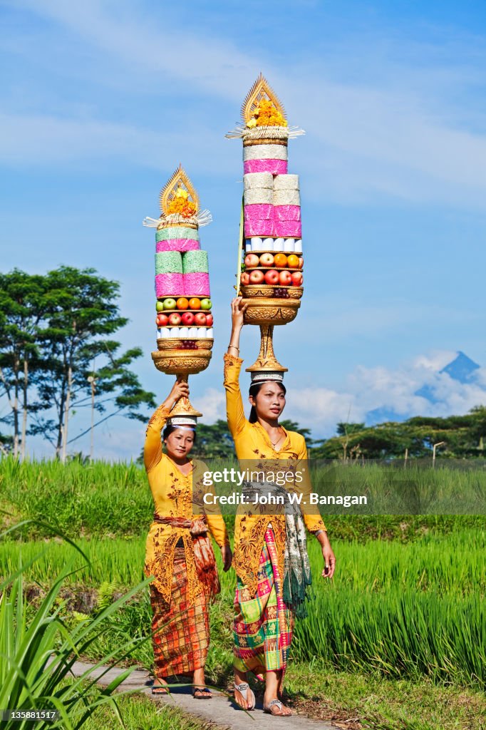Women with Temple offerings,Ubud,Bali, Indonesia,