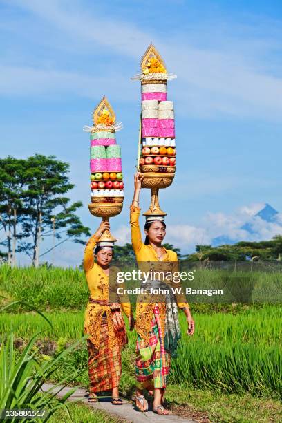 Women With Temple Offerings Ubud Bali Indonesia , Stockfoto