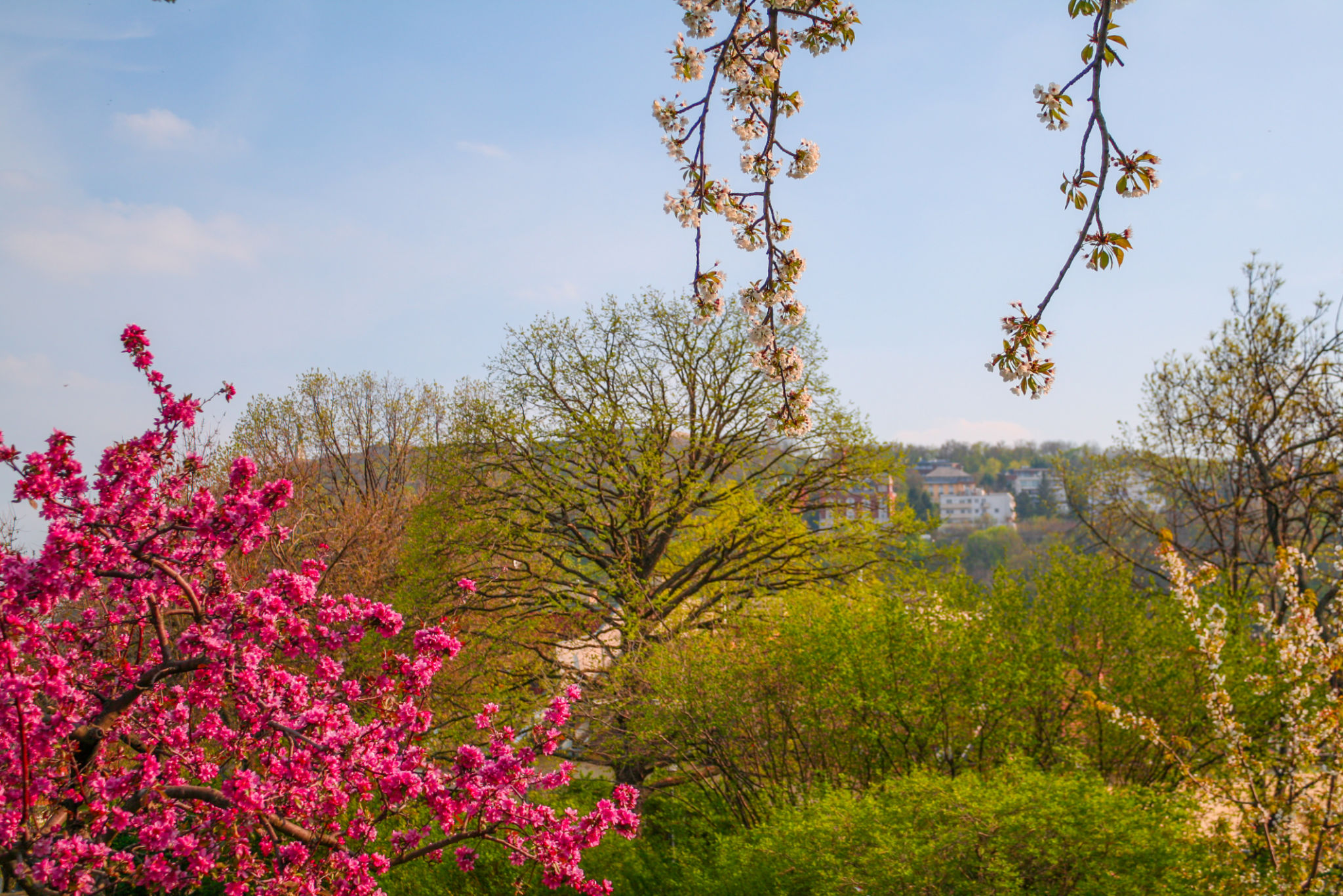 unterfranken spring