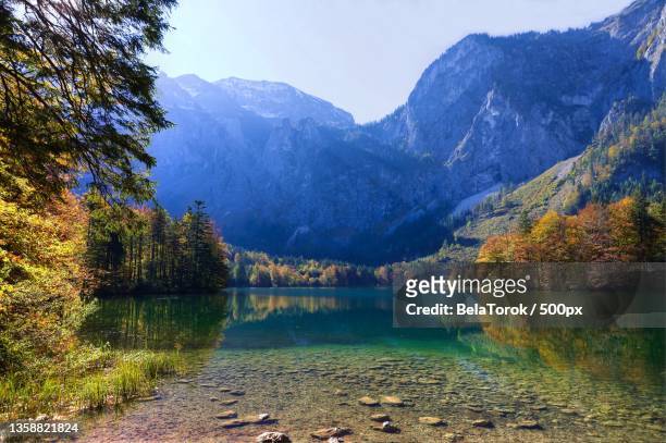 scenic view of lake by trees against sky,hinterer langbathsee,ebensee,austria - upper austria stock pictures, royalty-free photos & images