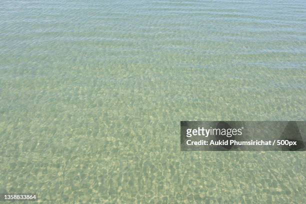 clear water in the sea,high angle view of sea shore - aukid stock-fotos und bilder