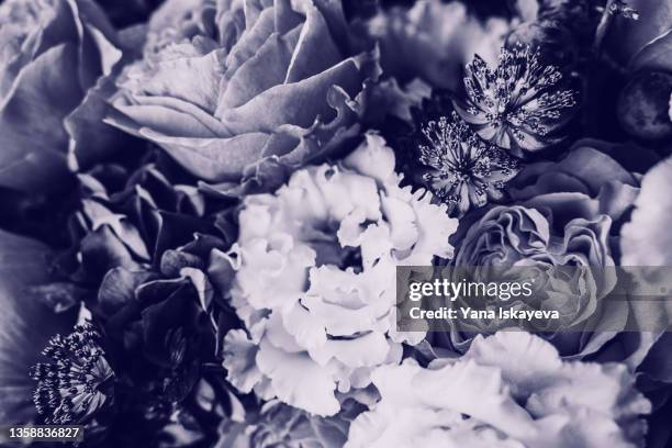 very peri toned flower bouquet as a symbol of year 2022 - rosa violette parfumee photos et images de collection