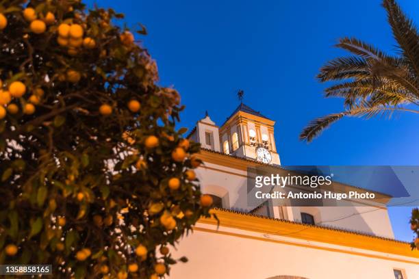 orange tree and church of nuestra señora de la encarnacion, marbella, malaga. - malaga photos et images de collection