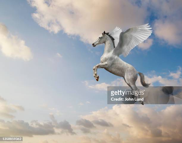 winged pegasus in flight - unicorn stock pictures, royalty-free photos & images