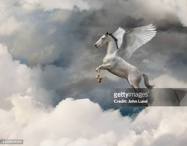 winged pegasus in cloudscape - pegasus stock-fotos und bilder