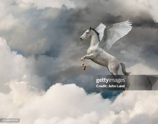 winged pegasus in cloudscape - wing fotografías e imágenes de stock