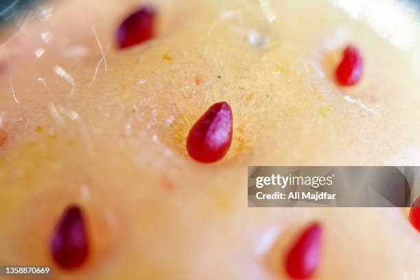 pine-berry seeds - kidney donation stock pictures, royalty-free photos & images