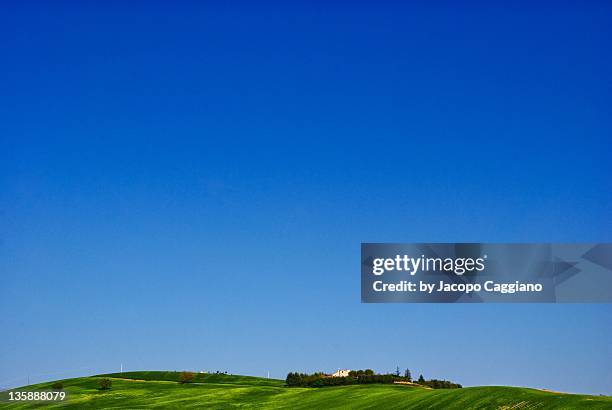 grass and sky - jacopo caggiano stock pictures, royalty-free photos & images