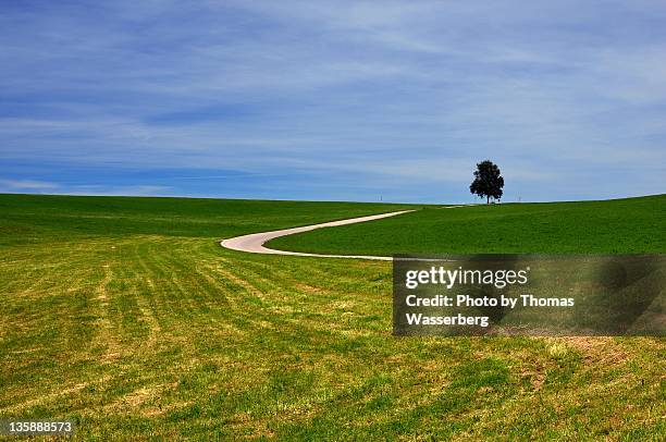 Tree Lonly 93 Lonly Stock Photos, High-Res Pictures, and Images - Getty Images
