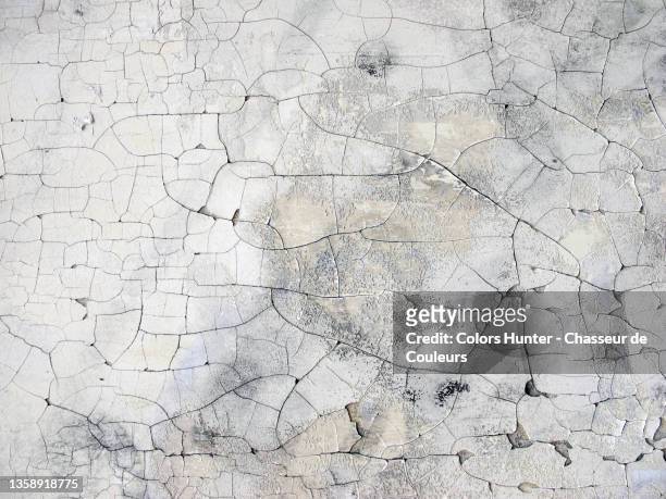 broken, weathered and textured painted wall in brussels - abandoned crack house stock pictures, royalty-free photos & images