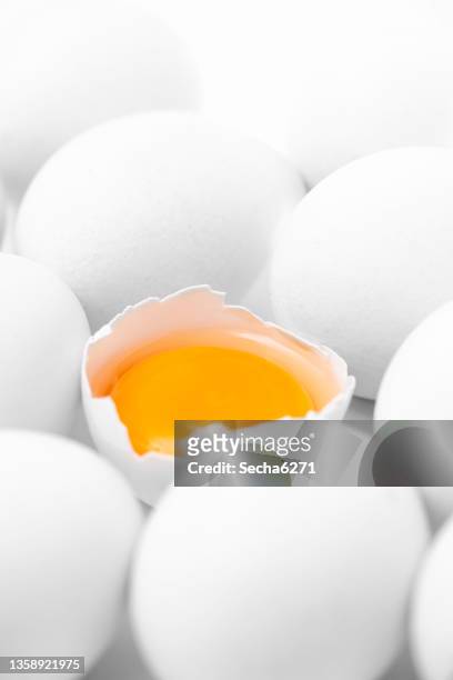 kreative fotos von hühnereiern auf weißem hintergrund - egg white background stock-fotos und bilder