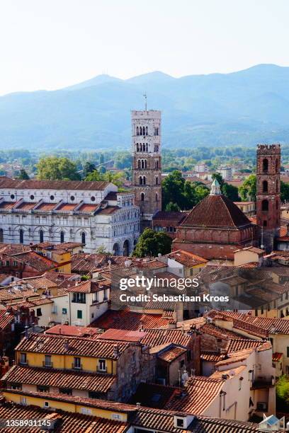 colourful skyline of lucca, cathedral, rooftops, lucca, italy - lucca italy stock pictures, royalty-free photos & images