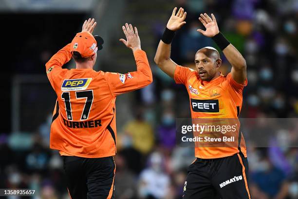 Tymal Mills of the Scorchers celebrates the wicket of Ben McDermott of the Hurricanes during the Men's Big Bash League match between the Hobart...