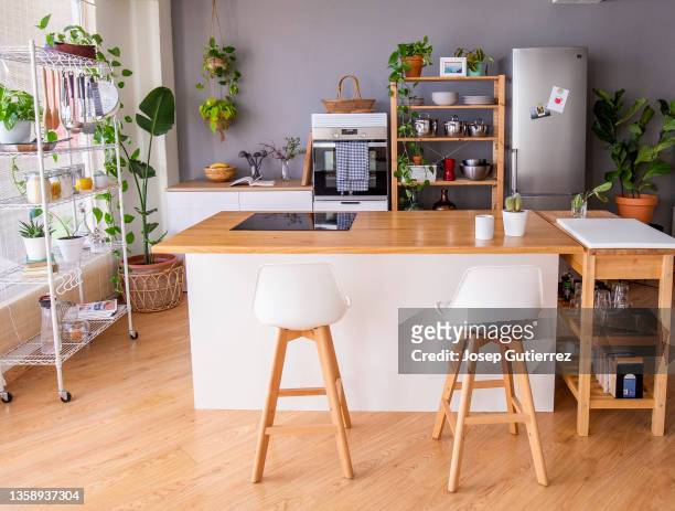 open plan kitchen at a nordic style apartment. open shelves, refrigerator and oven. many green plants - sparse fridge stock pictures, royalty-free photos & images