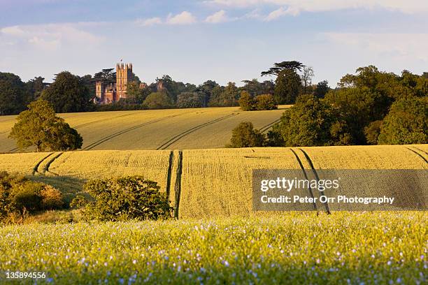 highclere castle - hampshire imagens e fotografias de stock