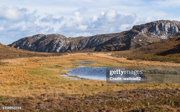 pond at south stack cliffs nature reserve - holyhead stock pictures, royalty-free photos & images