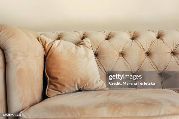 beautiful beige textured velor sofa. - velvet couch stock pictures, royalty-free photos & images