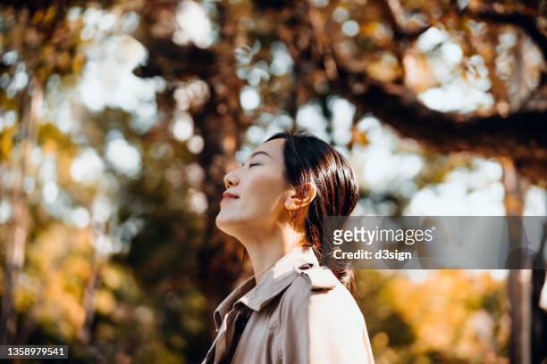 portrait of young asian woman having a walk in the park, enjoying the warmth of sunlight on a beautiful autumn day outdoors and breathing fresh air with eyes closed. relaxing in the nature under maple trees - mindfulness stock-fotos und bilder
