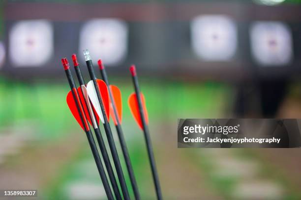 close-up of multi colored arrows - crossbow stock pictures, royalty-free photos & images