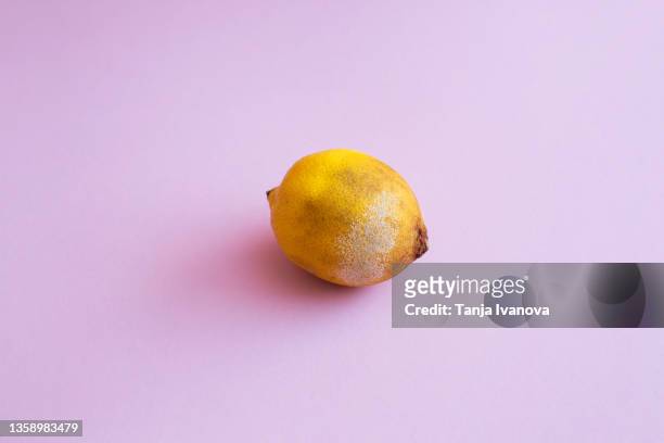 lemon with mold on purple background - rot ストックフォトと画像