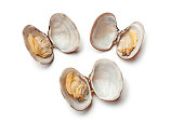 Fresh boiled clams Vongole Veraci