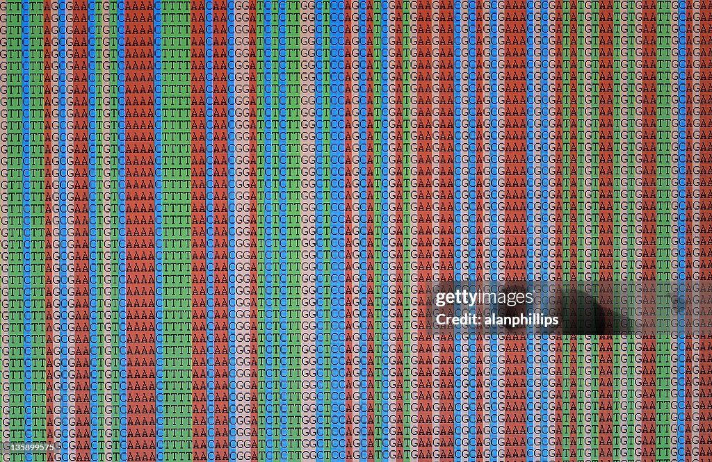 Aligned DNA sequences displayed on LCD screen