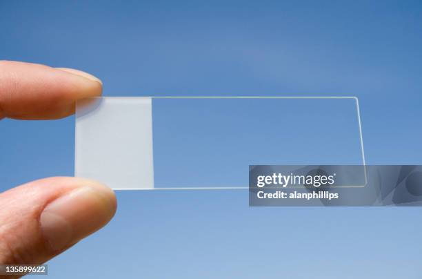 microscope slide with a blue sky background - histology stock pictures, royalty-free photos & images