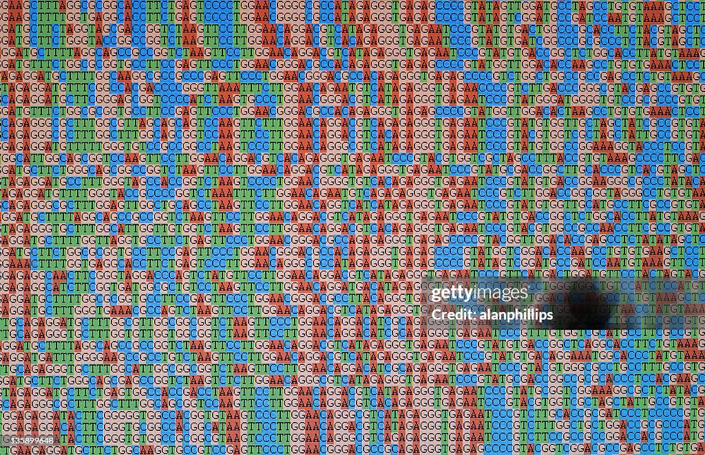 Unaligned sequenze del DNA visualizzato sullo schermo del monitor LCD
