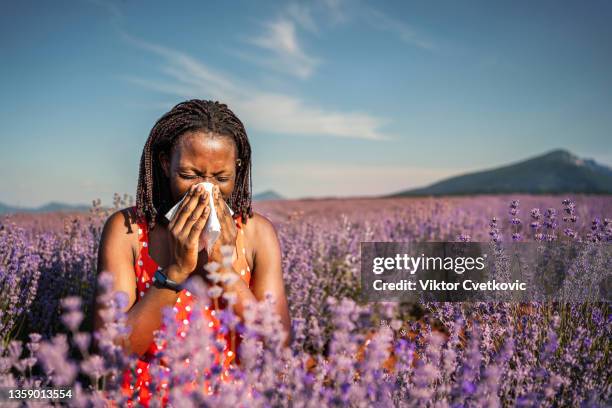 beautiful black woman sneezing in a lavender field - spring allergies stock pictures, royalty-free photos & images