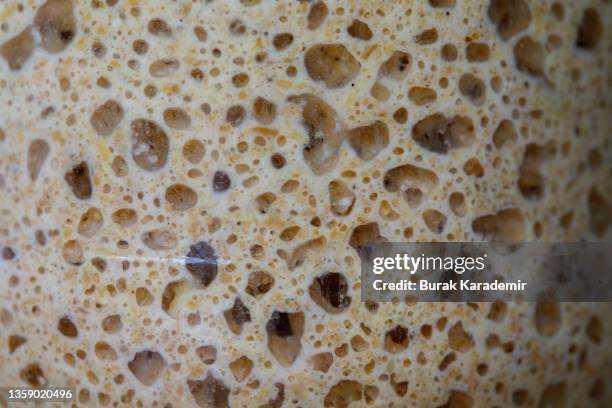 wholewheat sourdough starter - sourdough bread stock pictures, royalty-free photos & images