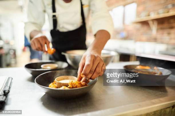 restaurant chef preparing a dish - plate in hand stockfoto's en -beelden