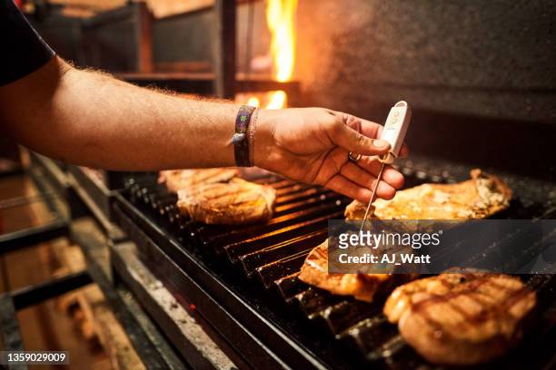 measuring temperature of steak on grill - meat stockfoto's en -beelden
