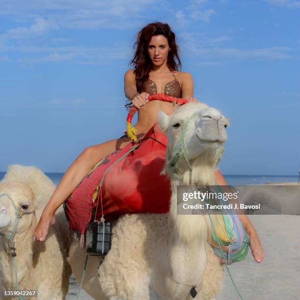 woman riding camel - monastir stock pictures, royalty-free photos & images