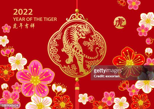 plum blossom of tiger year - looking back stock illustrations