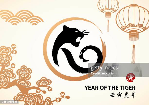 stockillustraties, clipart, cartoons en iconen met year of the tiger chinese painting - lantern festival cherry blossom