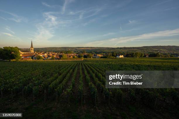 the village of santenay at dusk, surrounded by vineyards. - ブルゴーニュ　harvest wine ストックフォトと画像