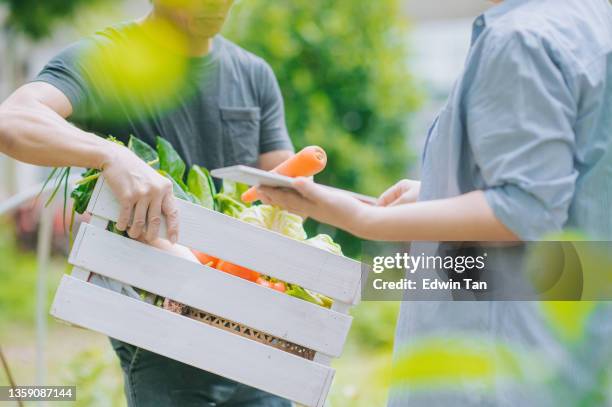 sustainable lifestyle asian chinese mid adult man showing harvest homegrown produce crops to his partner at backyard vegetable garden - homegrown produce stock pictures, royalty-free photos & images