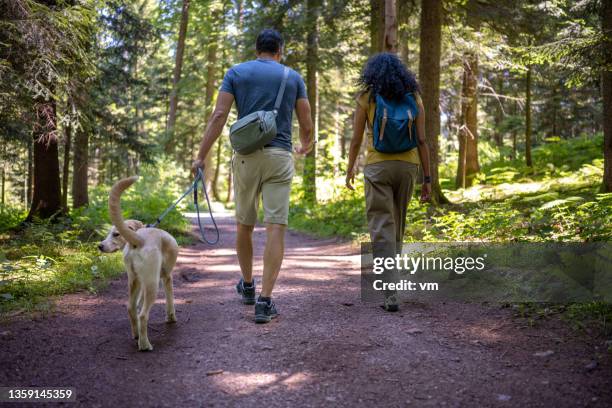 pair of hikers with dog walking on pathway in forest - dog backpack stock pictures, royalty-free photos & images