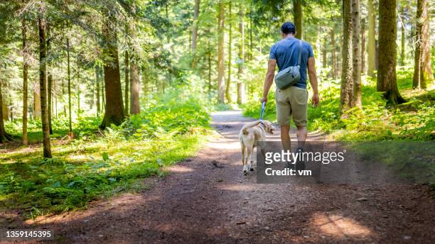 pasear perro con correa en el campo en un soleado día de verano - dog walking fotografías e imágenes de stock