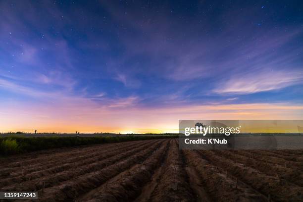 view of potato farm after harvest festival in argiculture environmental field after beautiful sunset and star over the road for transportation - star field stock-fotos und bilder