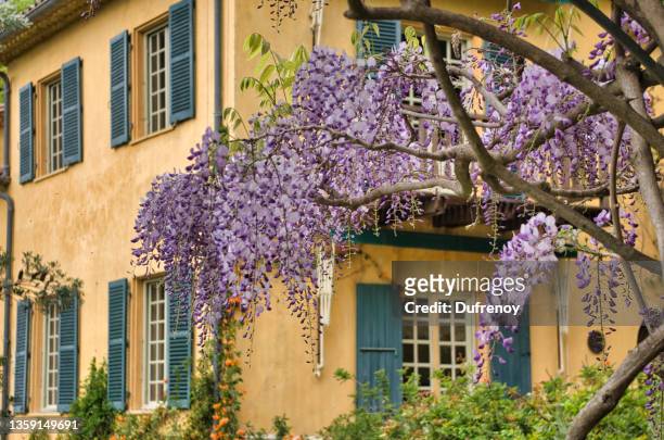 jardins de menton (côte d'azur) - french garden stock pictures, royalty-free photos & images