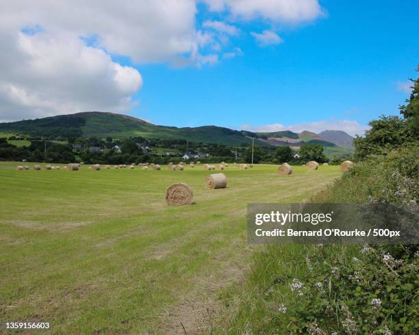cooley mountains,scenic view of field against sky,ireland - cooley mountains stock pictures, royalty-free photos & images