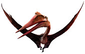 Quetzalcoatlus from the Cretaceous era 3D illustration