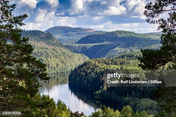 river deep,mountain high,scenic view of lake amidst trees against sky,sweden - forest sweden stock pictures, royalty-free photos & images