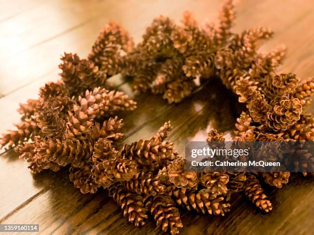 voila: a homemade holiday pine cone wreath - pine cone stock-fotos und bilder