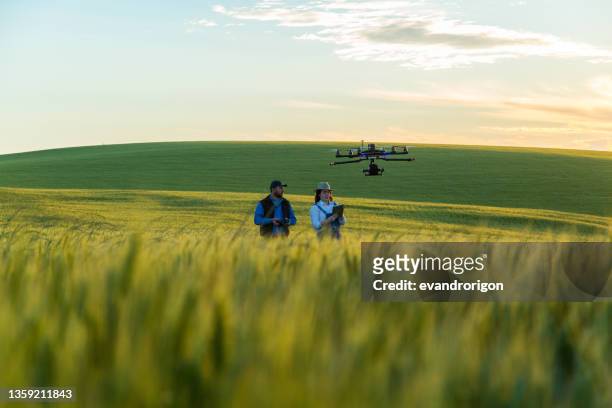 drone sin derechos de autor vuela en el cultivo de trigo - agricoltura fotografías e imágenes de stock